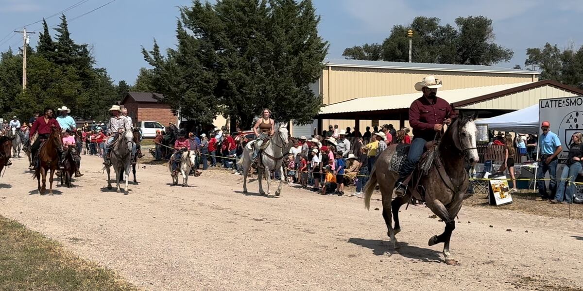 Wellfleet brings community together for 75th annual Fall Festival