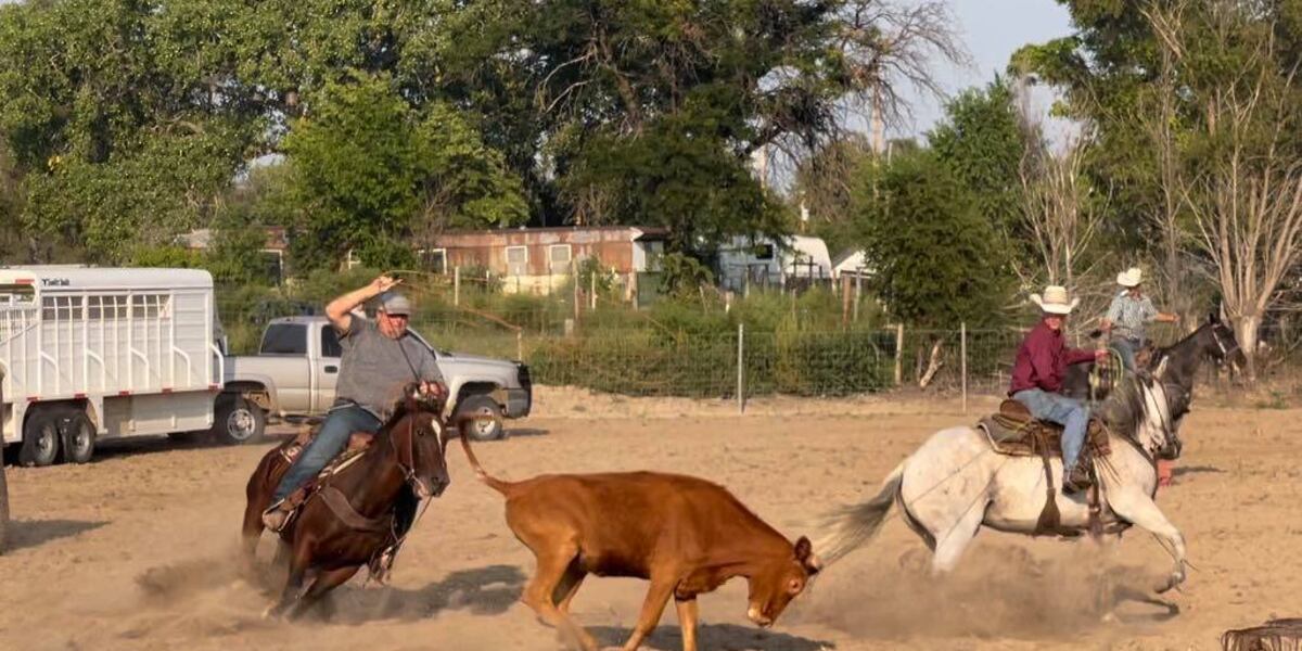 Wellfleet Fall Festival brings back rodeo Friday, horse race down main ...