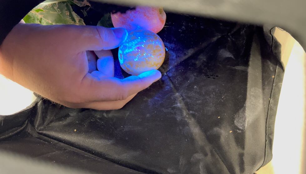 Glow powder on produce