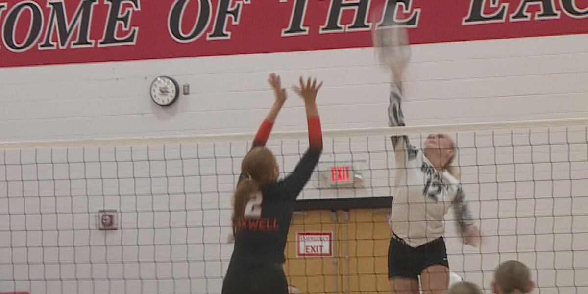 High School Volleyball Scores