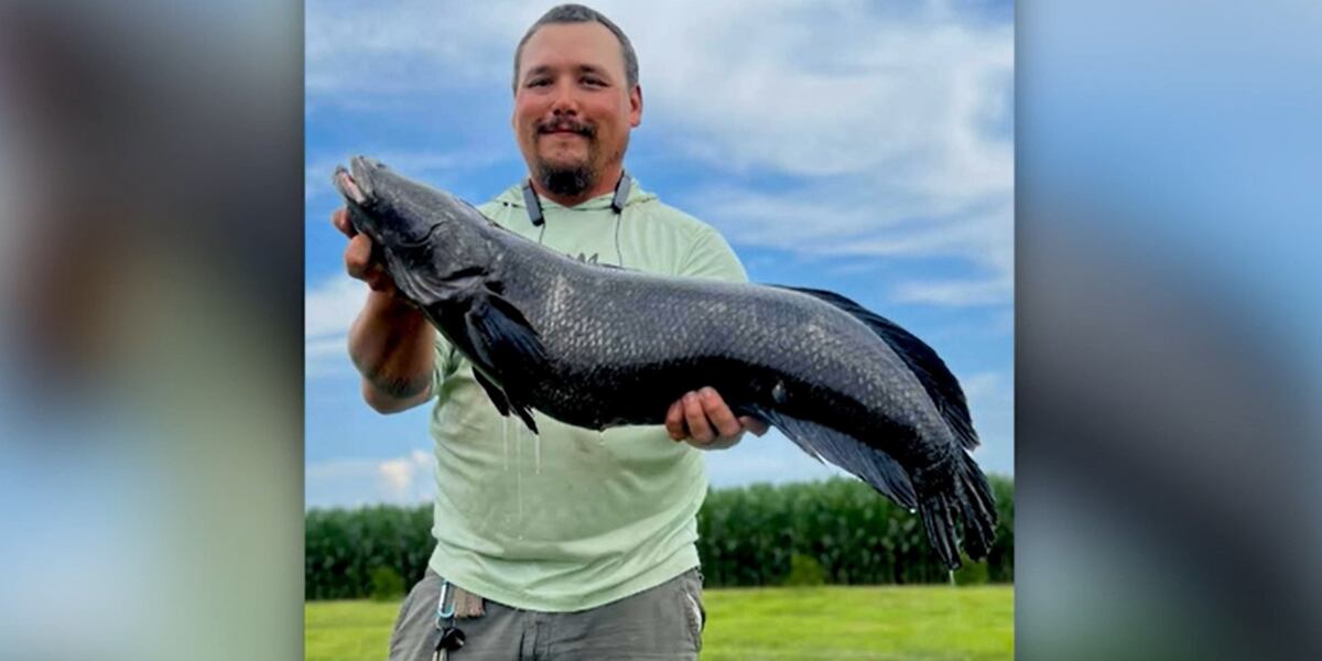 Snakehead Fish Invasive Map Record-breaking invasive snakehead fish caught in Maryland