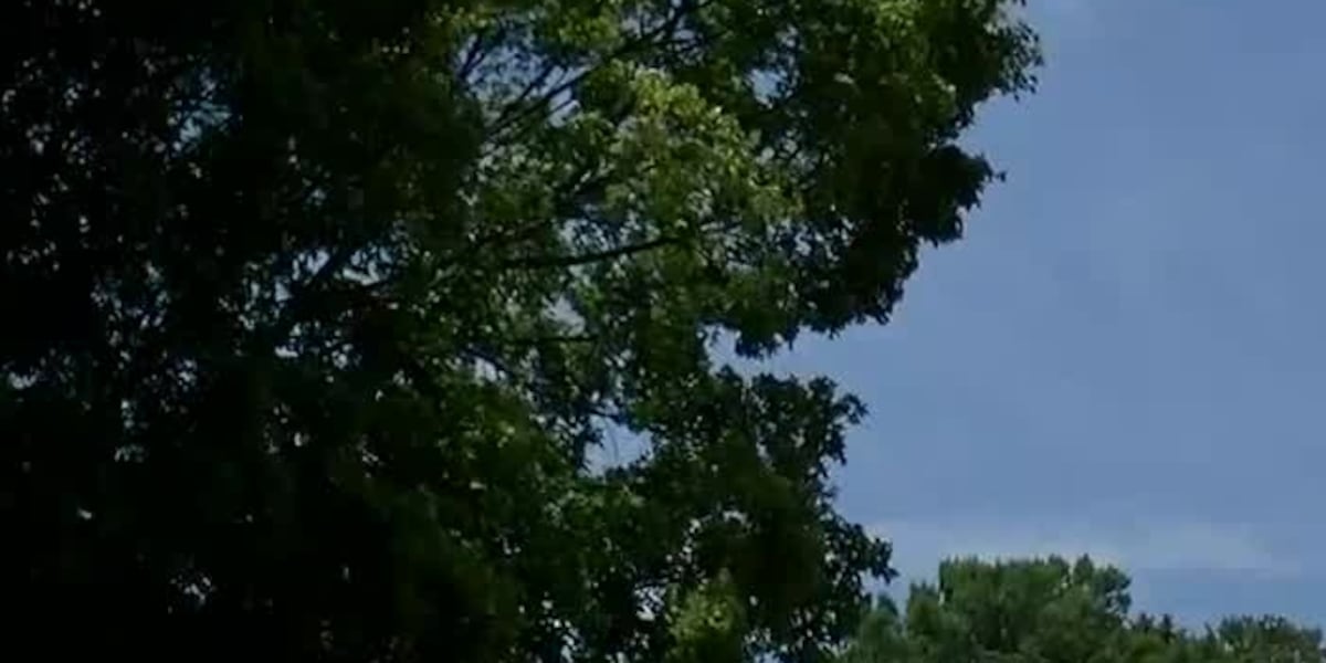 Nebraska Statewide Arboretum awards $1.6 million in forestry grants
