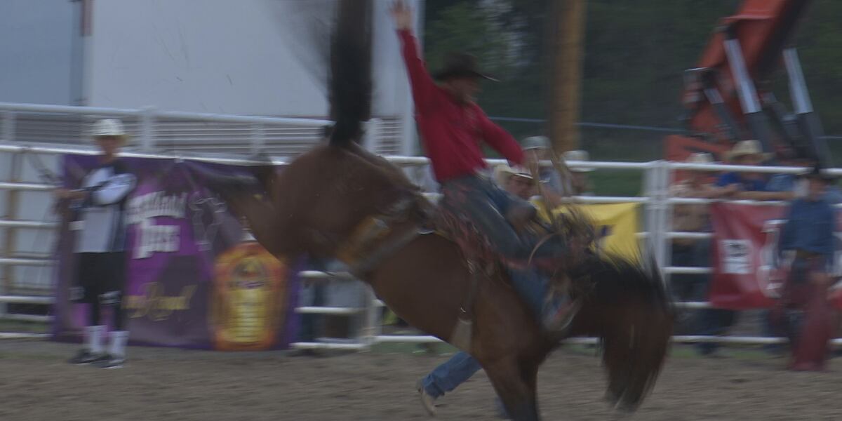 Bill Fish Rodeo Champions crowned from 2023 Buffalo Bill Rodeo