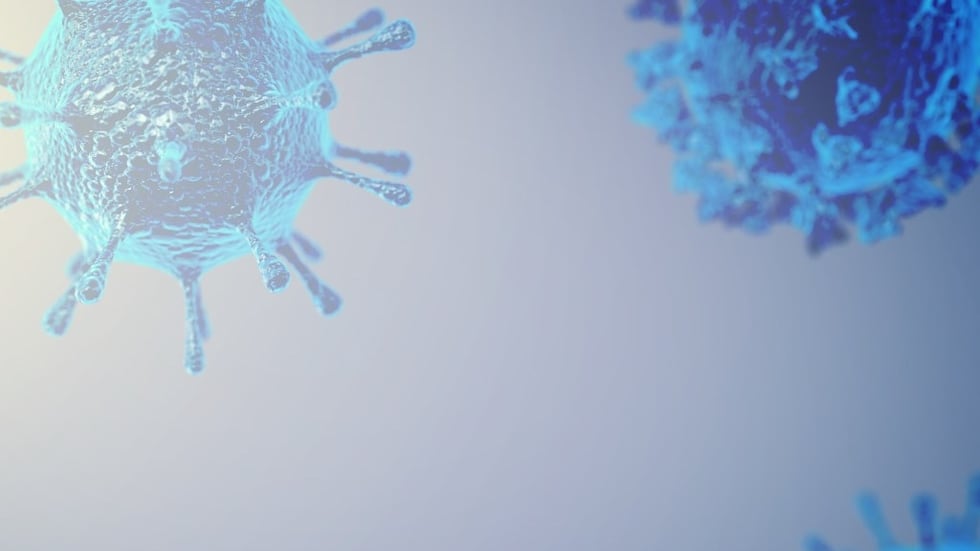 FILE -- Generic virus graphic.