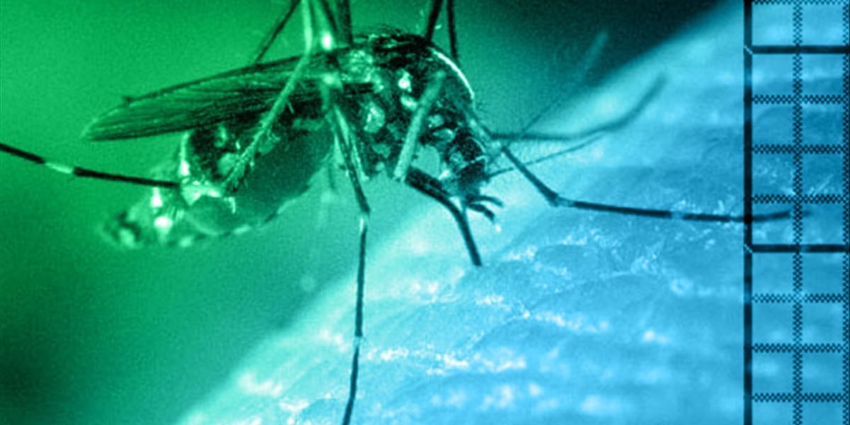 West Nile Virus Alert: First Human Case Confirmed in West Central District - Protect Yourself!