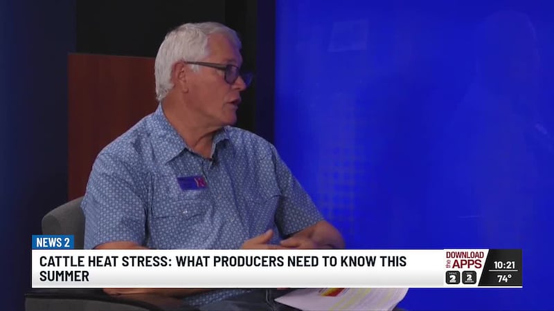Newsmakers Cattle Heat Stress: What producers need to know this summer.